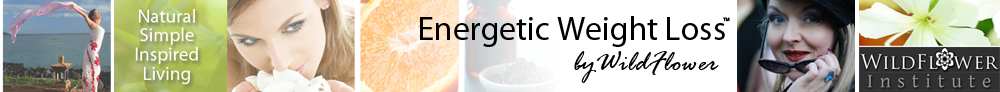 Energetic Weight Loss by WildFlower